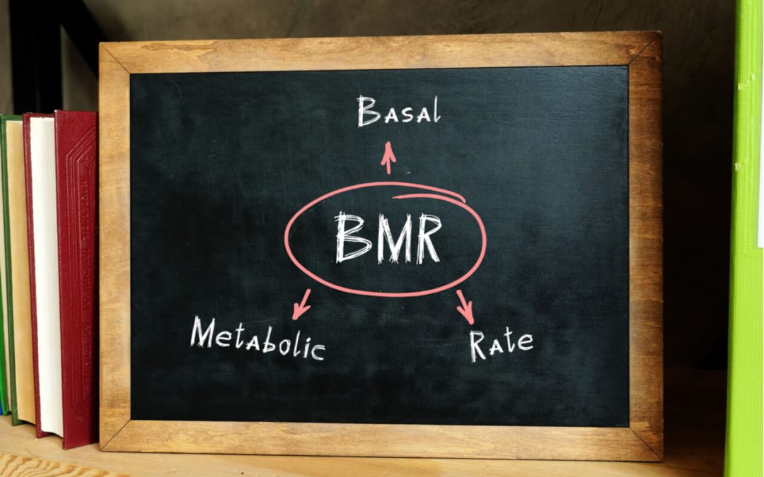 bmr-calculator-–-calculate-your-basal-metabolic-rate