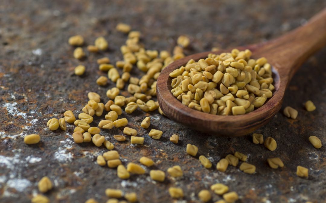 fenugreek-seeds-(methi)-for-weight-loss