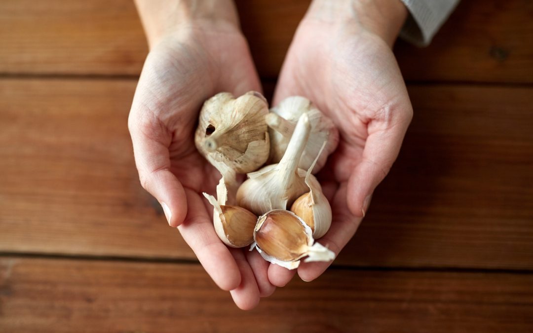 garlic-for-cholesterol-–-is-good-or-bad?