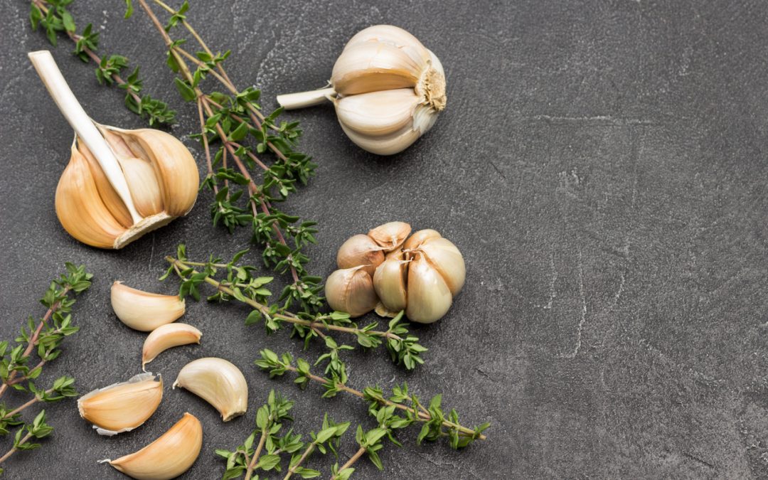 garlic-for-weight-loss-–-a-brief-guide