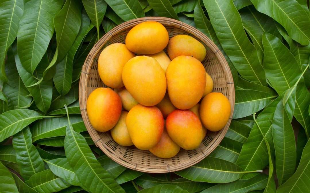 is-mango-good-for-weight-loss?-debunking-common-misconceptions-–-blog-–-healthifyme