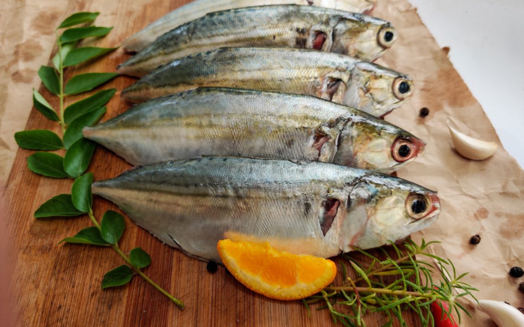 indian-mackerel:-a-guide-on-the-indigenous-fish:-healthifyme