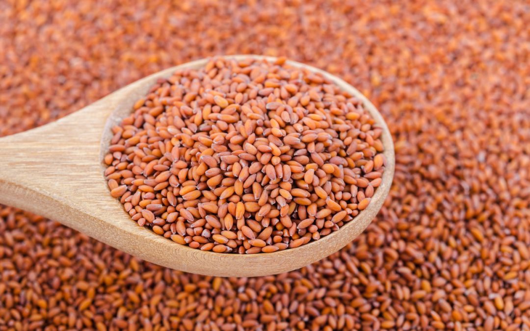 halim-seeds:-tiny-wonders-of-health-benefits:-healthifyme