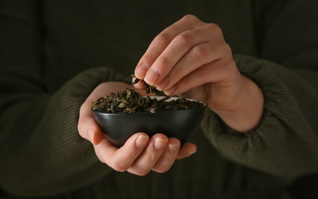 the-health-benefits-of-green-tea-healthifyme