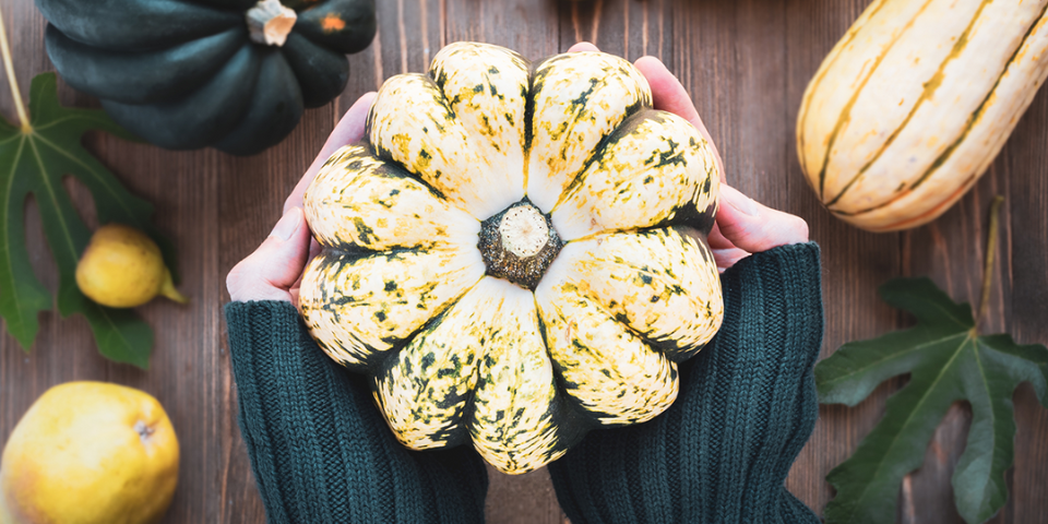 fall-in-love-with-autumnal-flavors-by-learning-how-to-cook-acorn-squash